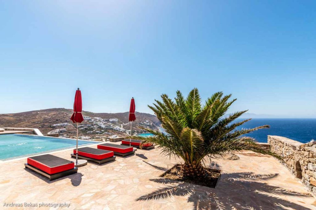 Palm and red sunbeds with sea view at Villa Benita in Elia, Mykonos