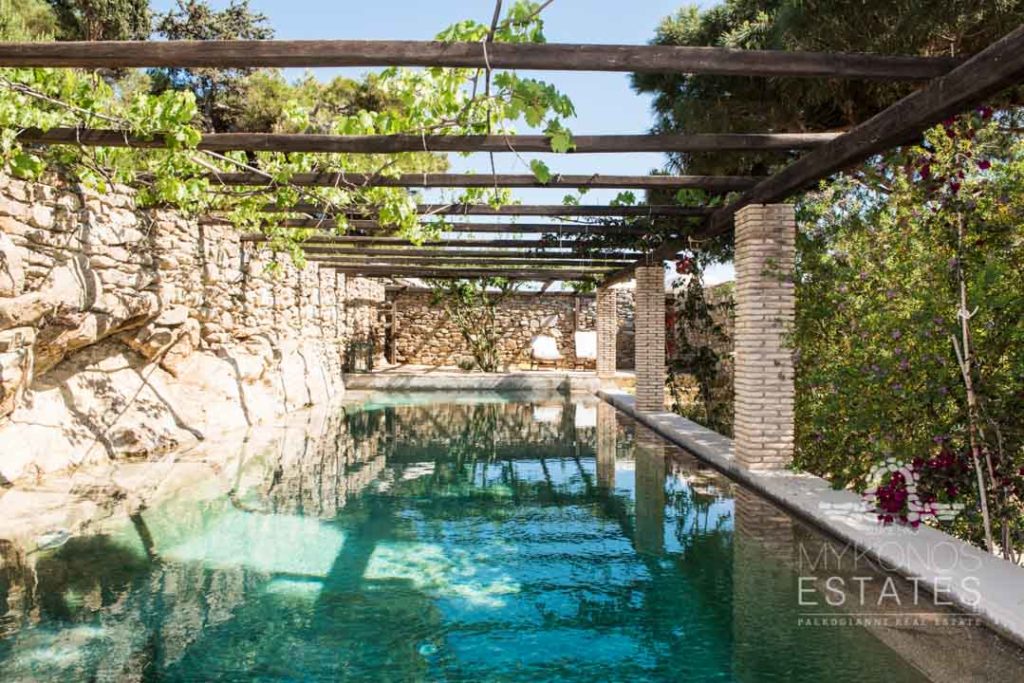 Long pool under a vine pergola at Villa Avalon in Mykonos Town