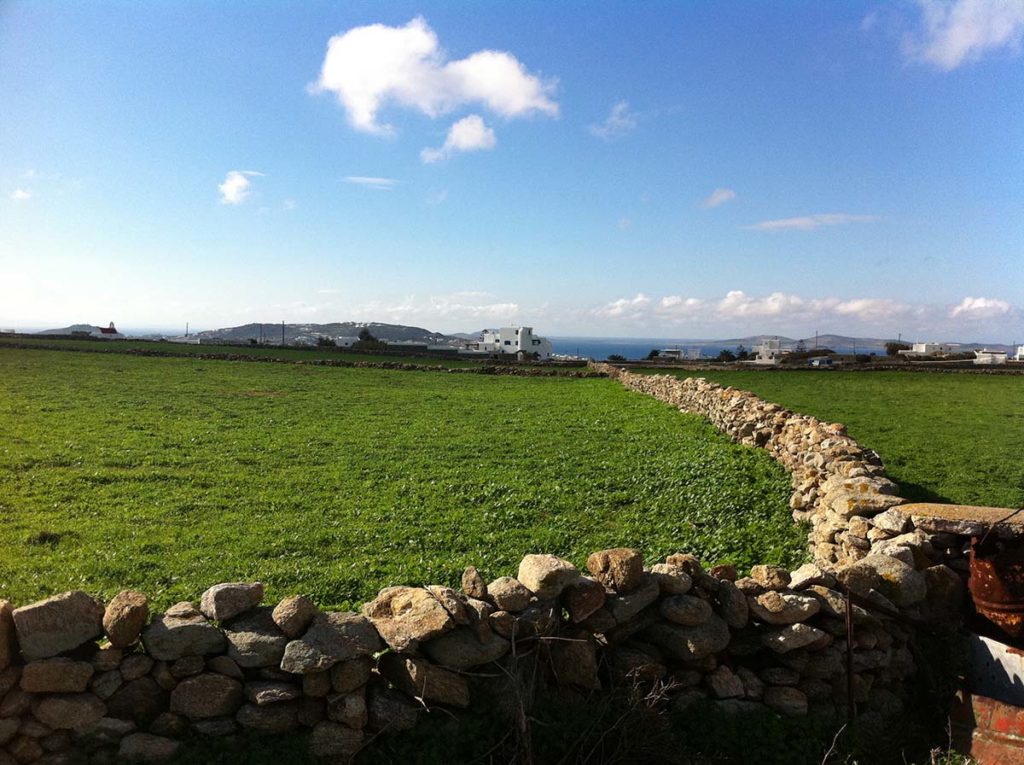 Green plot with dry-stone wall and hills at Tourlos Land Plot, for sale in Tourlos, Mykonos
