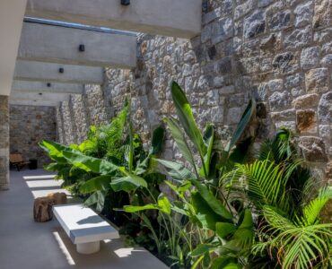Living area with indoor planting and natural light at Aether Private Retreat - Grand Villa, Aleomandra, Mykonos