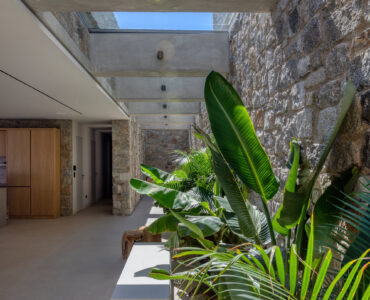 Living area with indoor planting and natural light at Aether Private Retreat - Ground Floor, Aleomandra, Mykonos