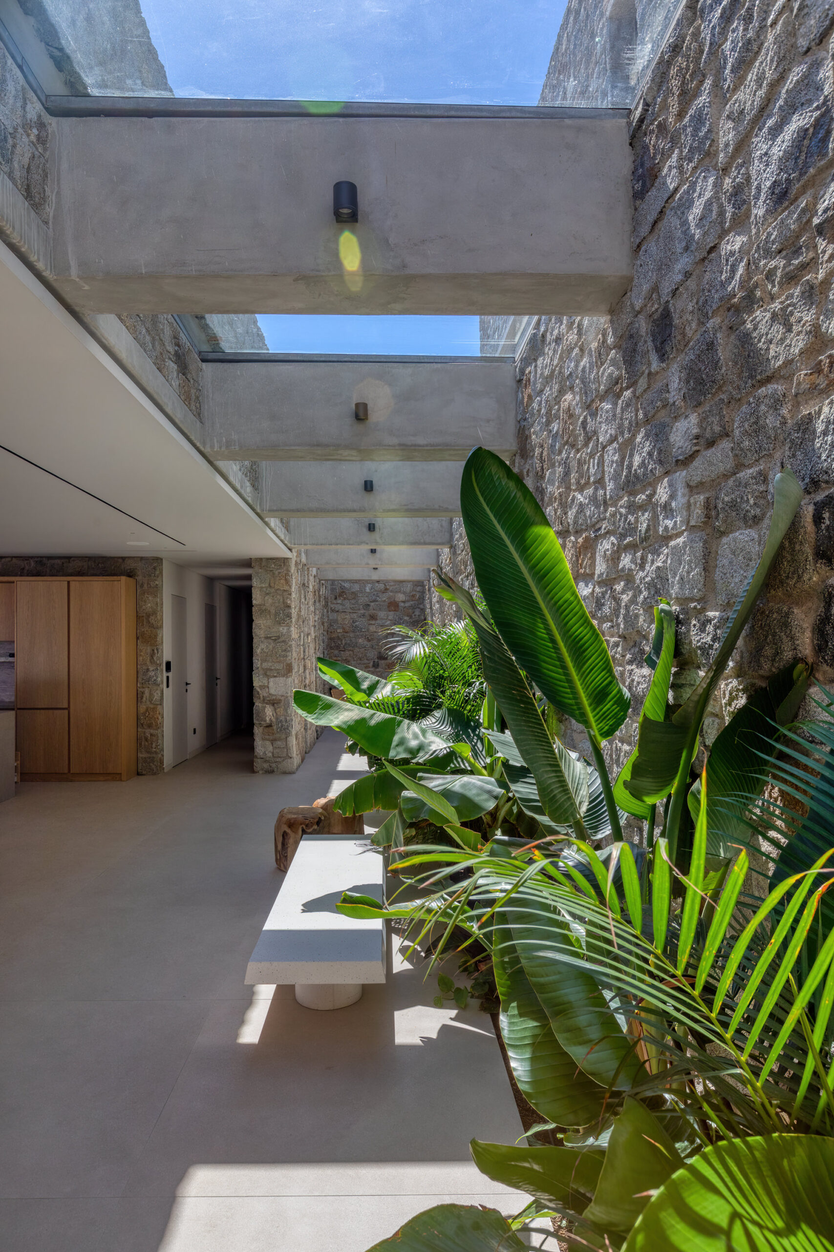 Living area with indoor planting and natural light at Aether Private Retreat - Ground Floor, Aleomandra, Mykonos