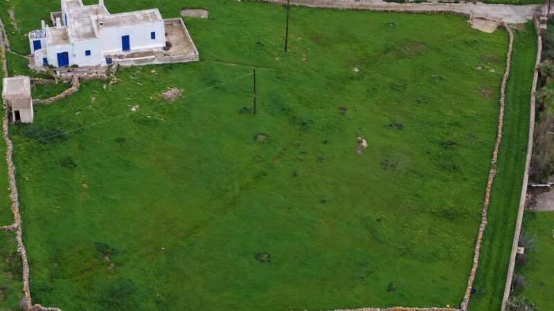 Aerial view of a white Cycladic house on a 4,000 m² level grassy plot with stone walls for sale in Ano Mera, Mykonos
