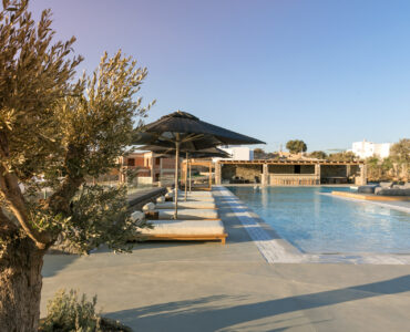 Olive tree by the pool deck at Villa Arion in Aleomandra, Mykonos