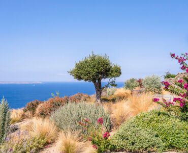 Villa Faros luxury villa in Tourlos, Mykonos – photo 4
